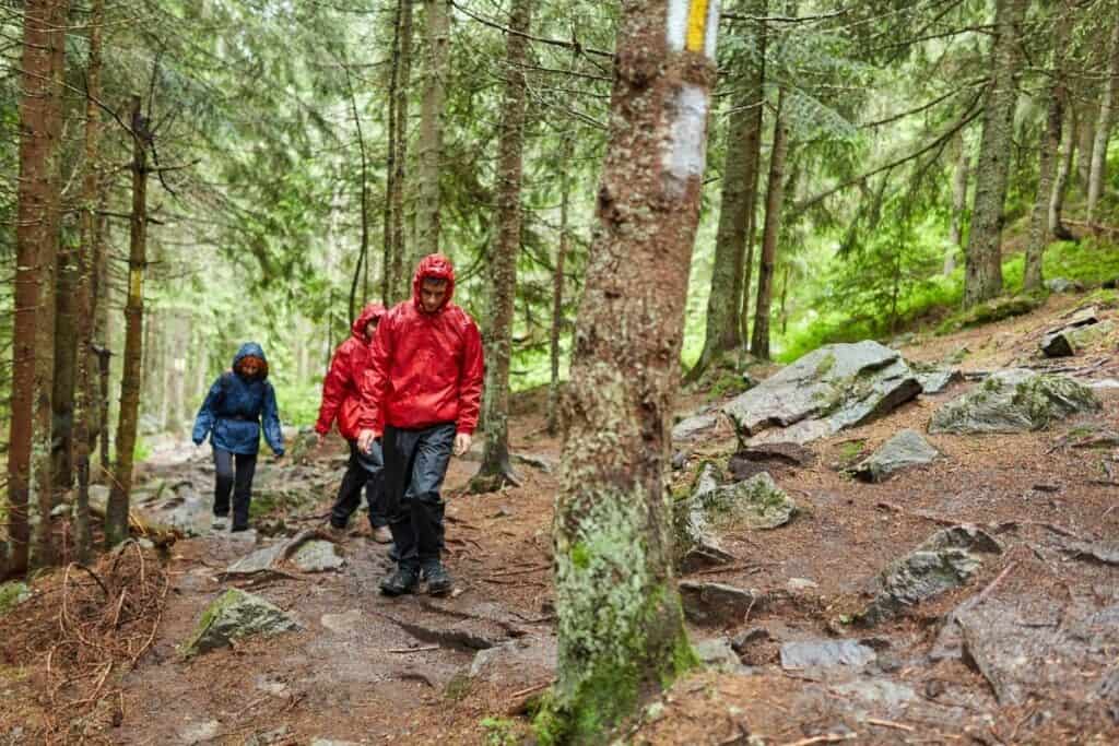 people hiking through a forest uphill in the rain