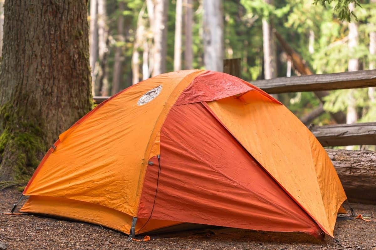 louis vuitton speedy 30 leather