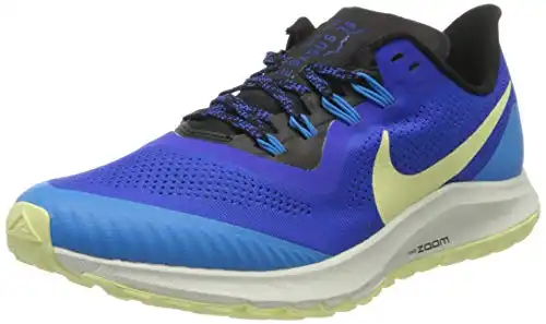 Nike Pegasus Trail Running Shoe